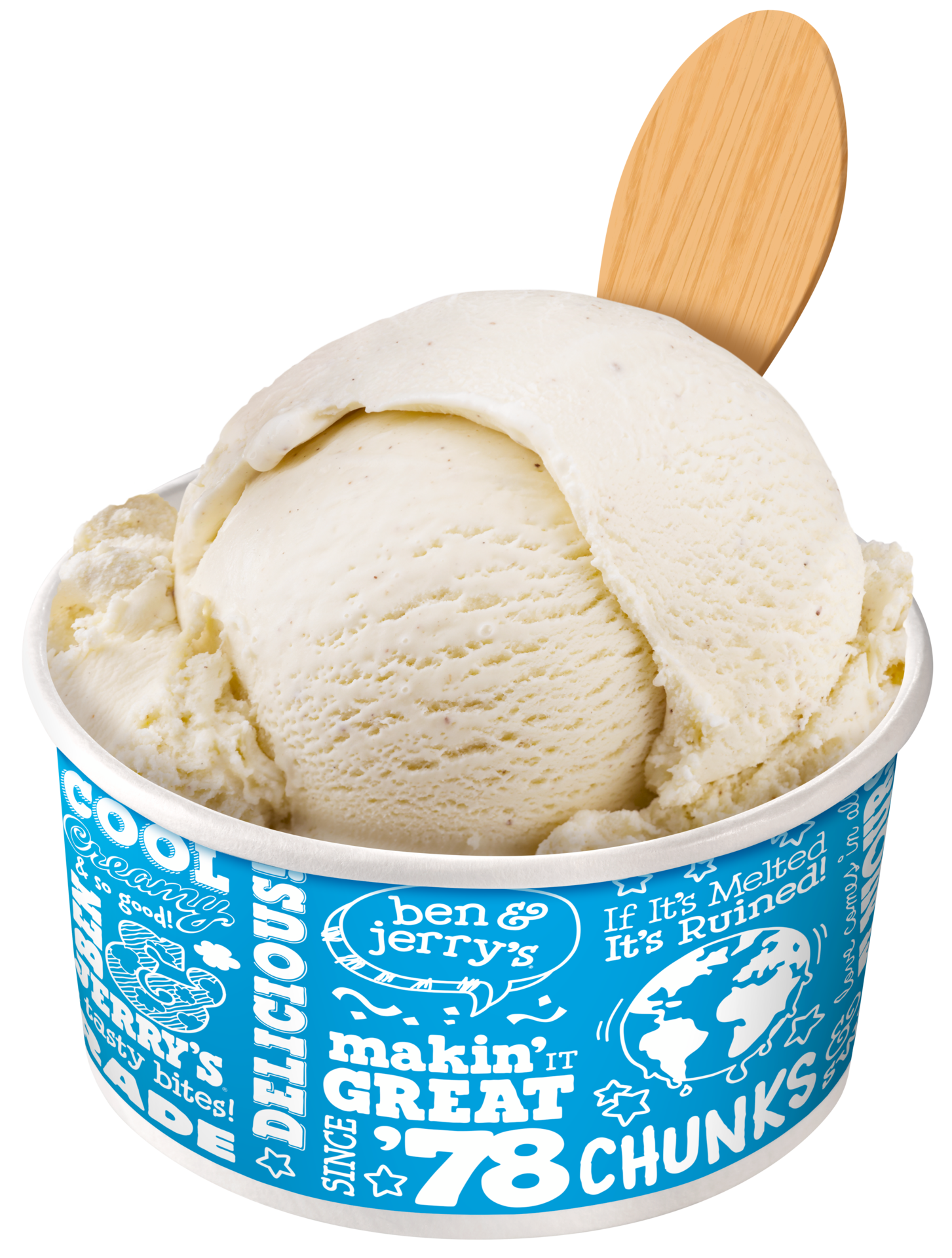 Vanilla Ice Cream - Bulk